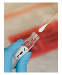 Stock image of a COVID-19 nasal swab being inserted into a sterile container held by a hand wearing a blue glove.